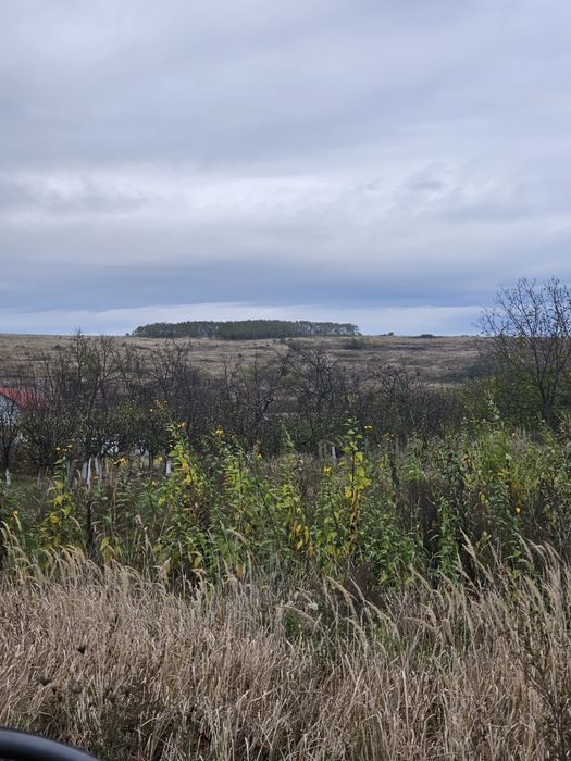 Vand 3Ha teren extravilan dealul viilor Lugoj Langa Pensiunea Lois