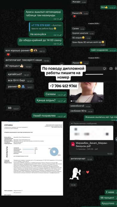 Дипломная работа