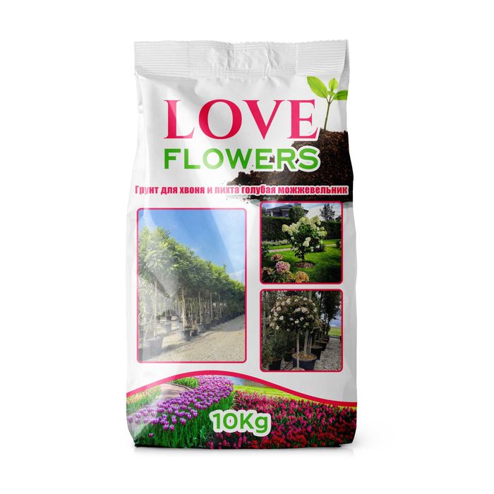 Grafik Dizayner Xizmati Arzon Narxlarda | Услуги графического дизайнер