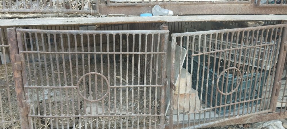 Клетка бодене балапан асырауга