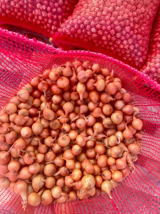 Арпаджик. Лясковски