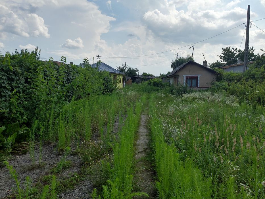 Vînzare teren ,2500 de metri pătrați