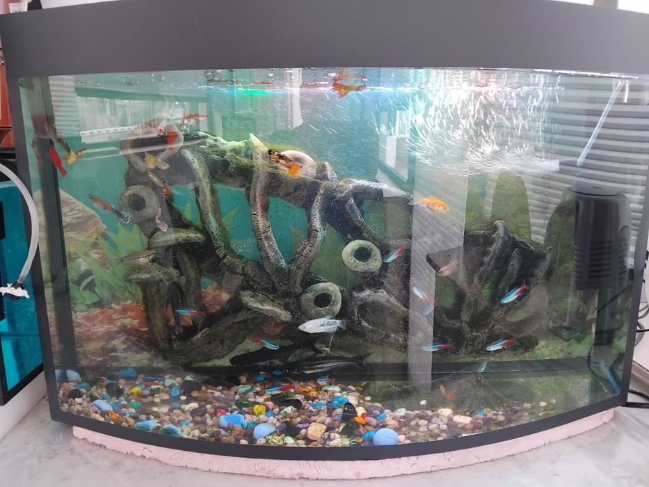 Продам два аквариума