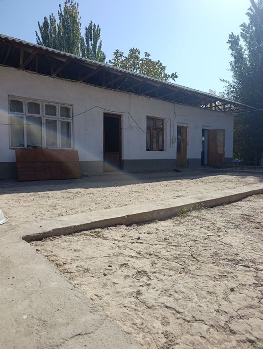 Xovli sotiladi 6 sotix