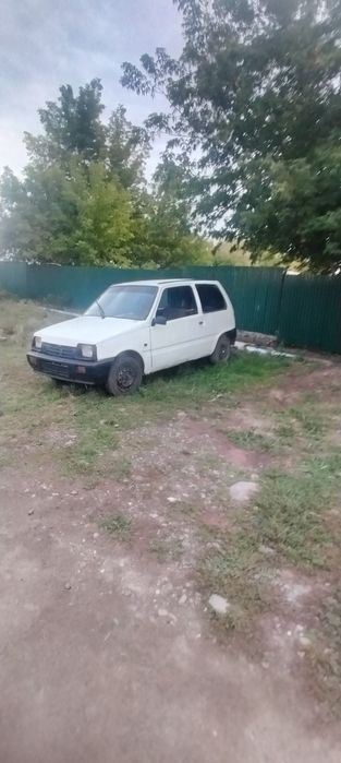 Продам оку свежее покрашена есть косики