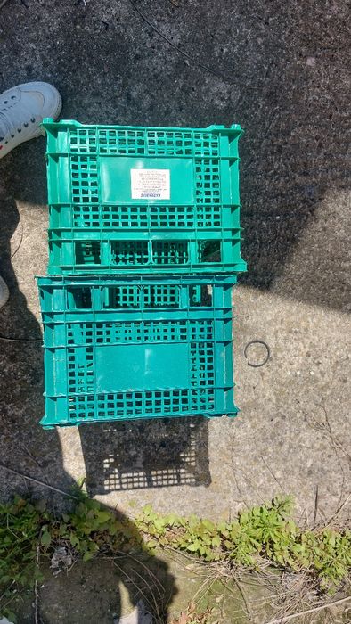 Продавам касетки куубчета зс съхранениена плодове и картофи,изгодни за