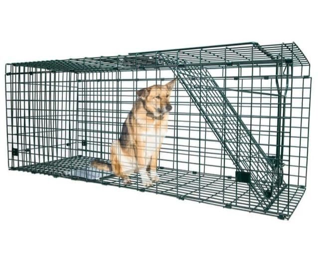 Капкан клетка от животных