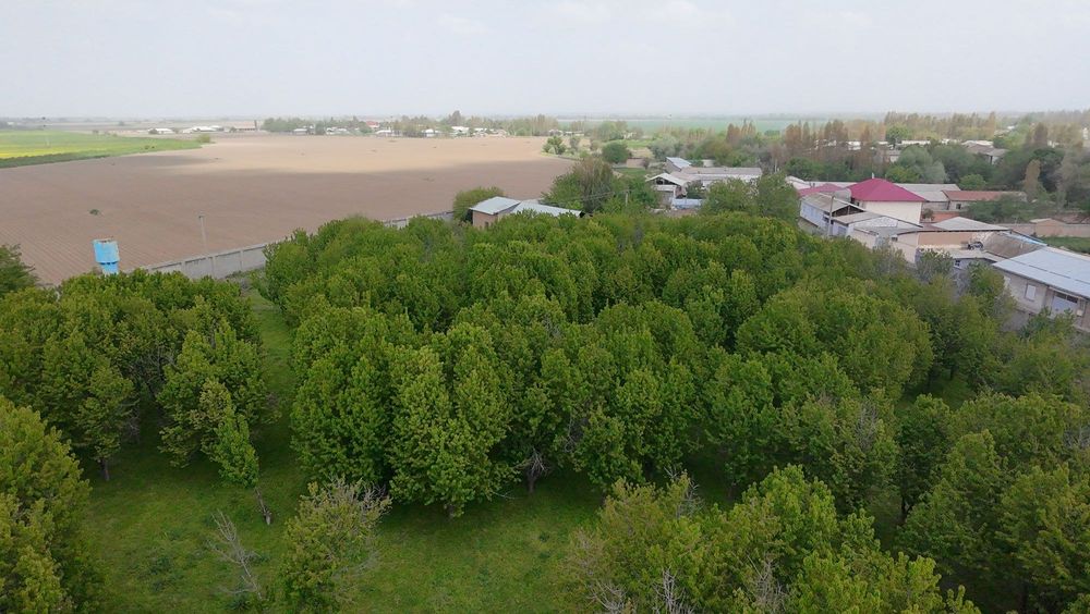 Продаётся уютная дача с большим земельным участком