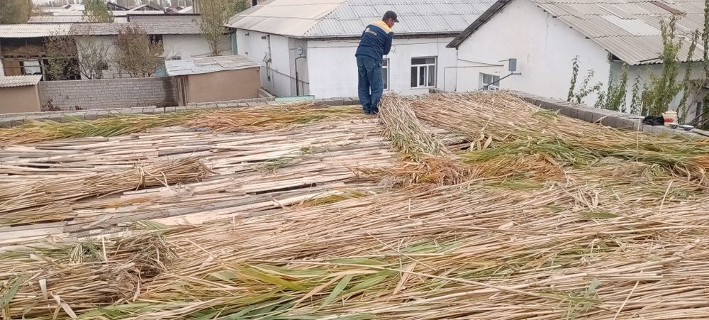 Ломбоз учун  камиш лобозга ишлатгани 1.5 кв 5 см 10 см калинликда йопа