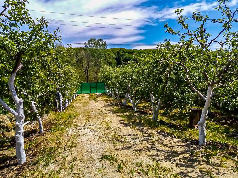 Casă la roșu + teren 1005mp livadă (proprietar) com. Boțești (jud. AG)