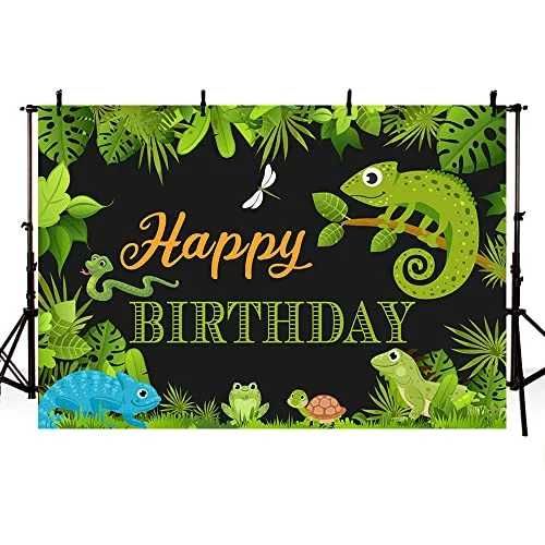 Фотографски Фонове за Рожденни дни и Празници