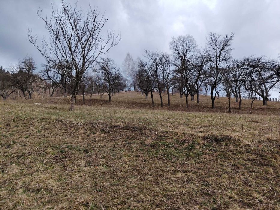 Teren propice sat vacanta