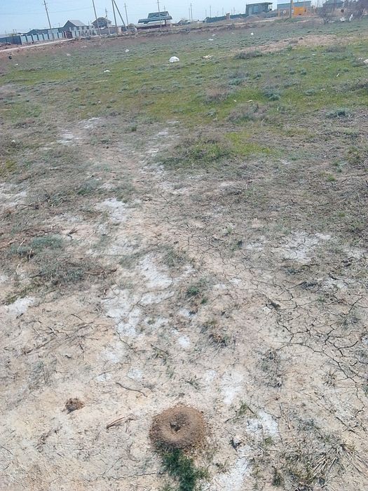 Участок в поселкн Даулет