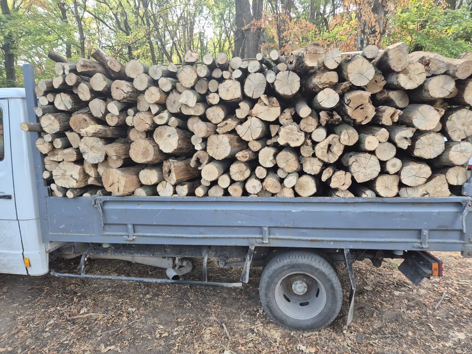 Lemn foc Carpen la metru ster