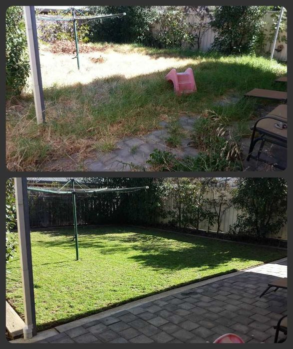 Tuns iarbă înaltă și boscheți – Motocoasă - Disponibil în weekend