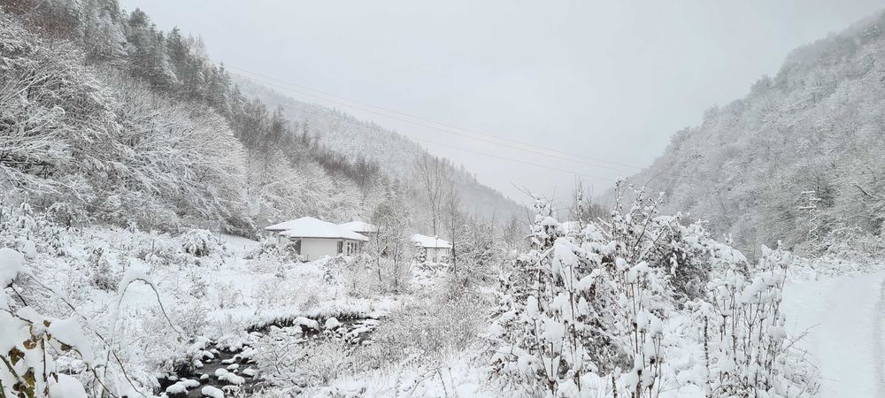 Продава се Къща в София, Бояна - 1600 кв.м за 1125 €/кв.м - Снимка #19