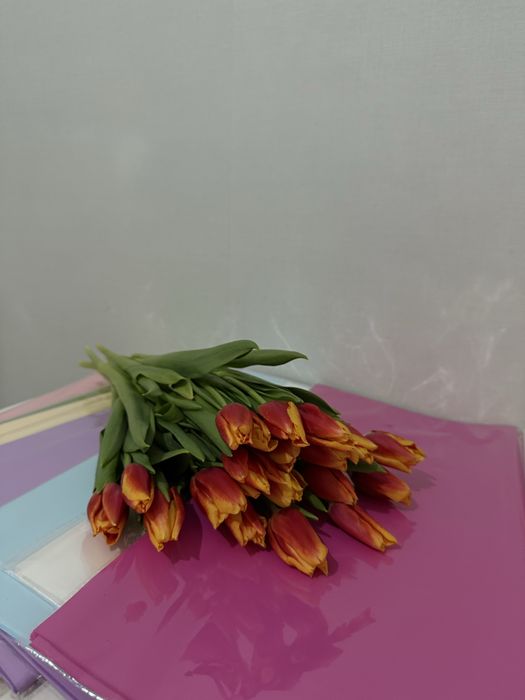 продам тюльпаны 850тг