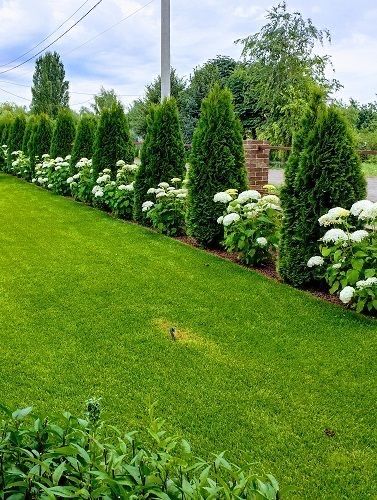 Озеленение, газон, автополив