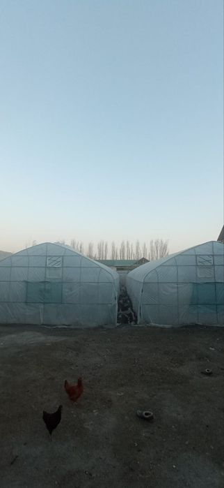 Теплица сотилади 25-7