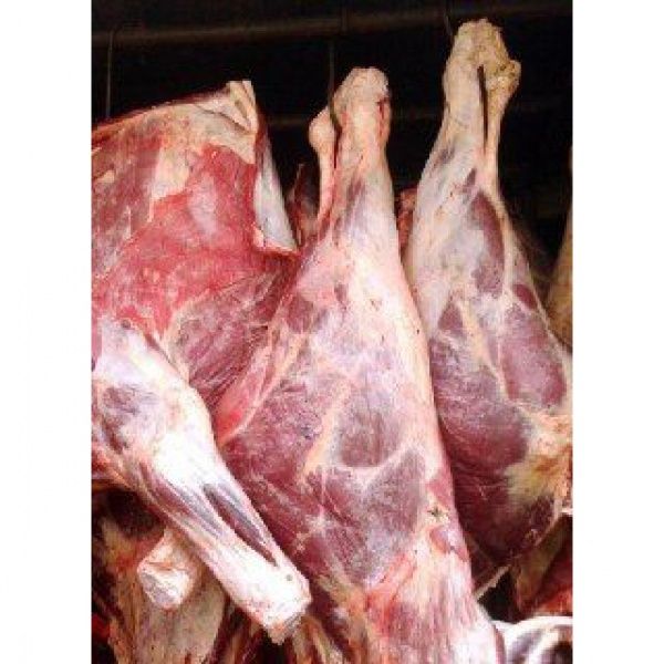 Продам мясо говядины молодняк