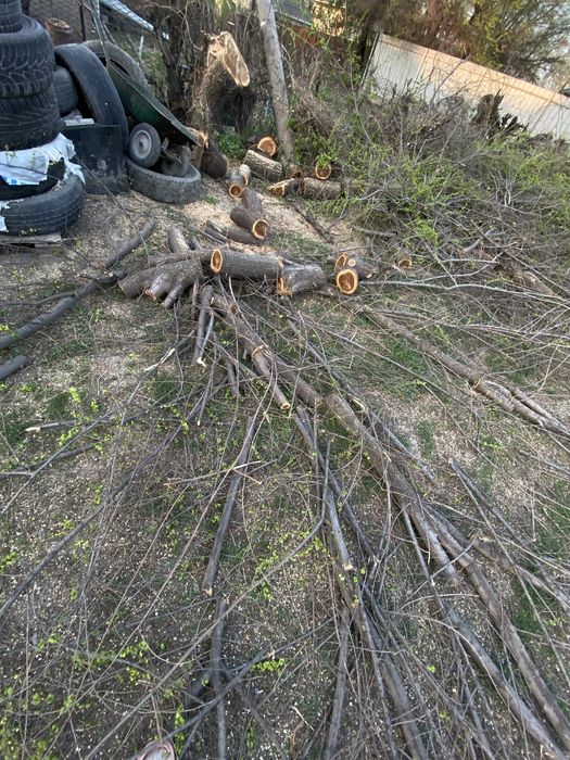 Продам дрова.