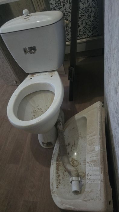 Отдам Бесплатно Даром