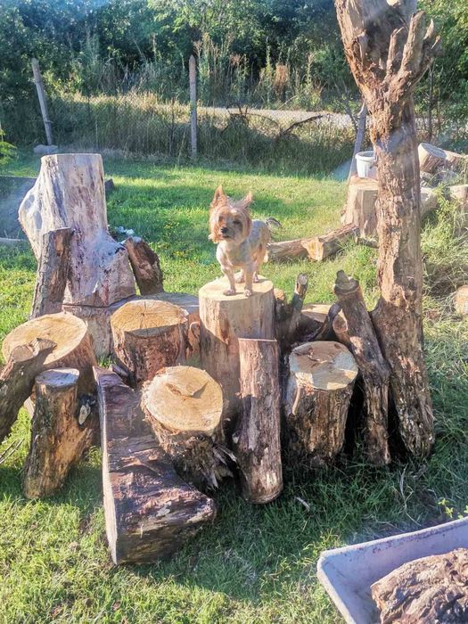 Пънчета за градина