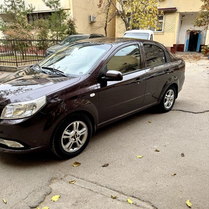 Некса3 Чоко холати тину