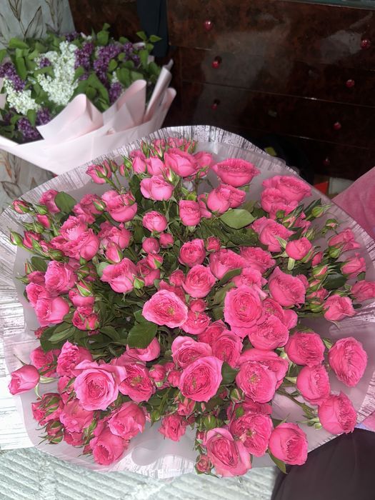 Роза кустовая 51шт