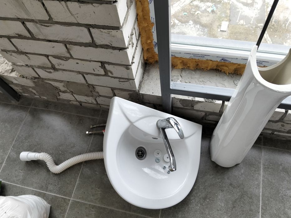 Раковина тюльпан