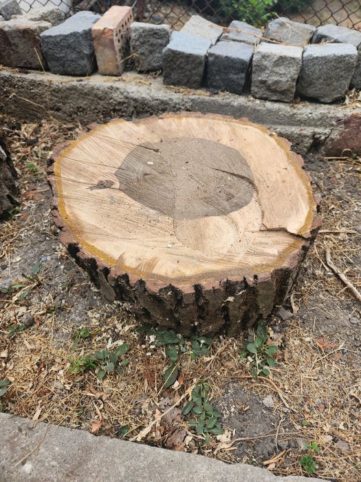 Орехови шайби дебели