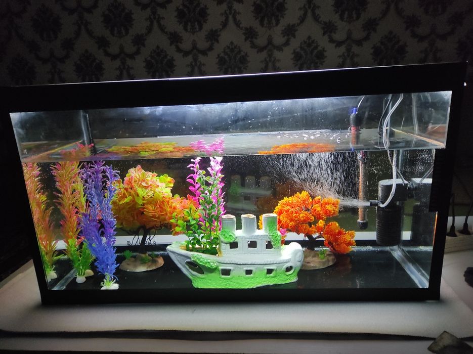 Аквариум срочно сотилади арзонга бериб юбораман