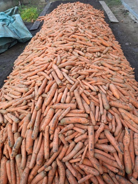 Pachetul cămară completa