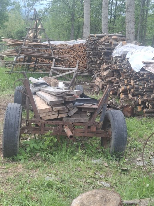 Caruta si plug de vanzare