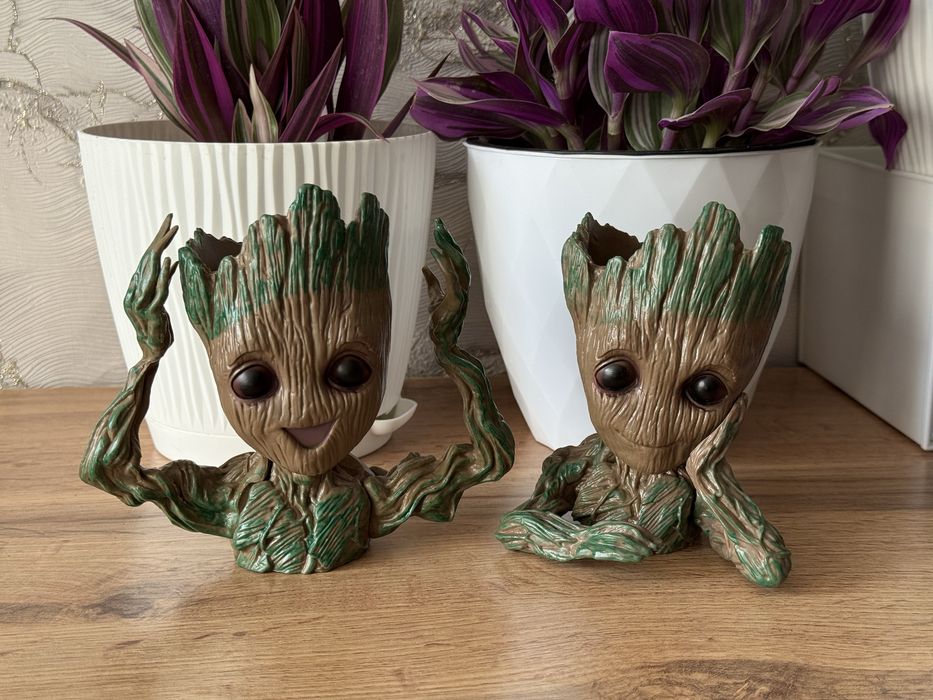 Комнатные растения. Домашние цветы