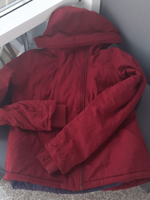 Jacheta matlasata Bench