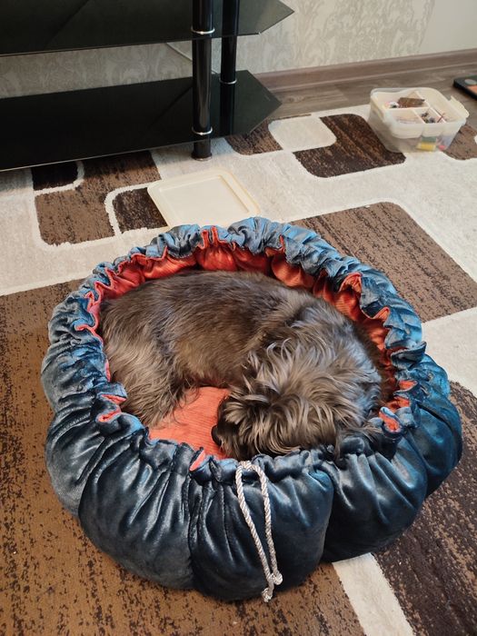 Лежанка для собачки