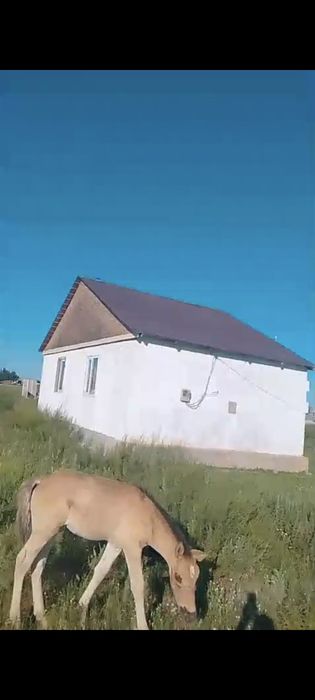 Срочно продам дачу 8 соток в ПК ДСУ