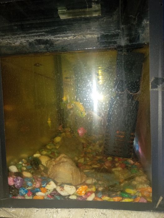 Продоёца Аквариум