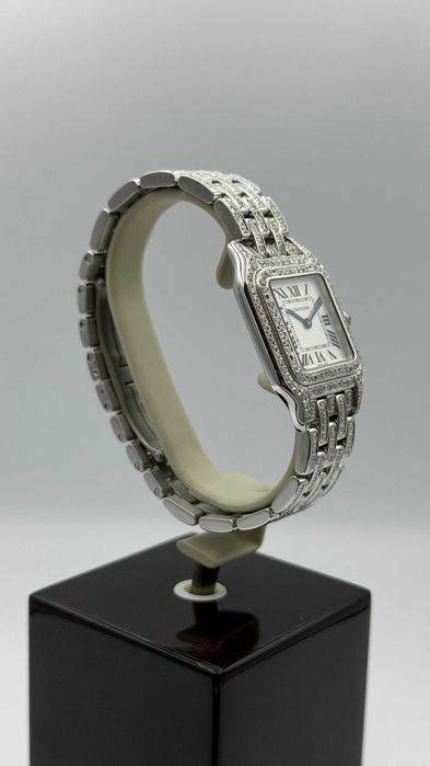 Cartier WSPN0007, mediu, otel, 2024 și 2025, 7500€.