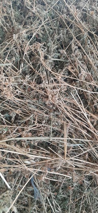 Vând lucernă vrac calitate foarte bună