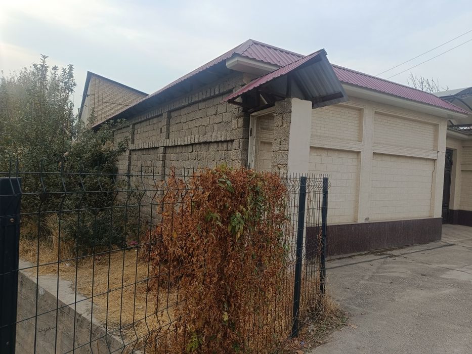 Ohunboboyv zamona tu'yhona orqasi 5 sotu