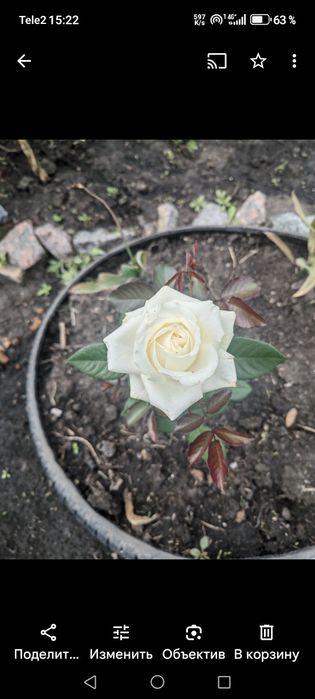 Продам дачу в черте города