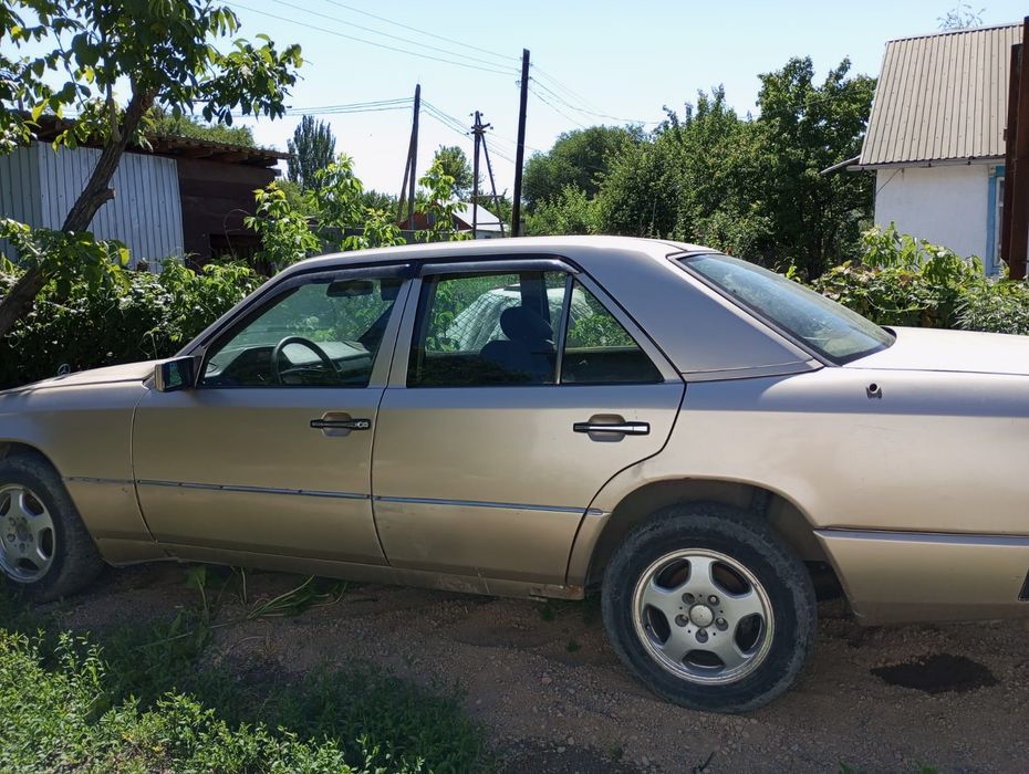 Mercedes dens 124