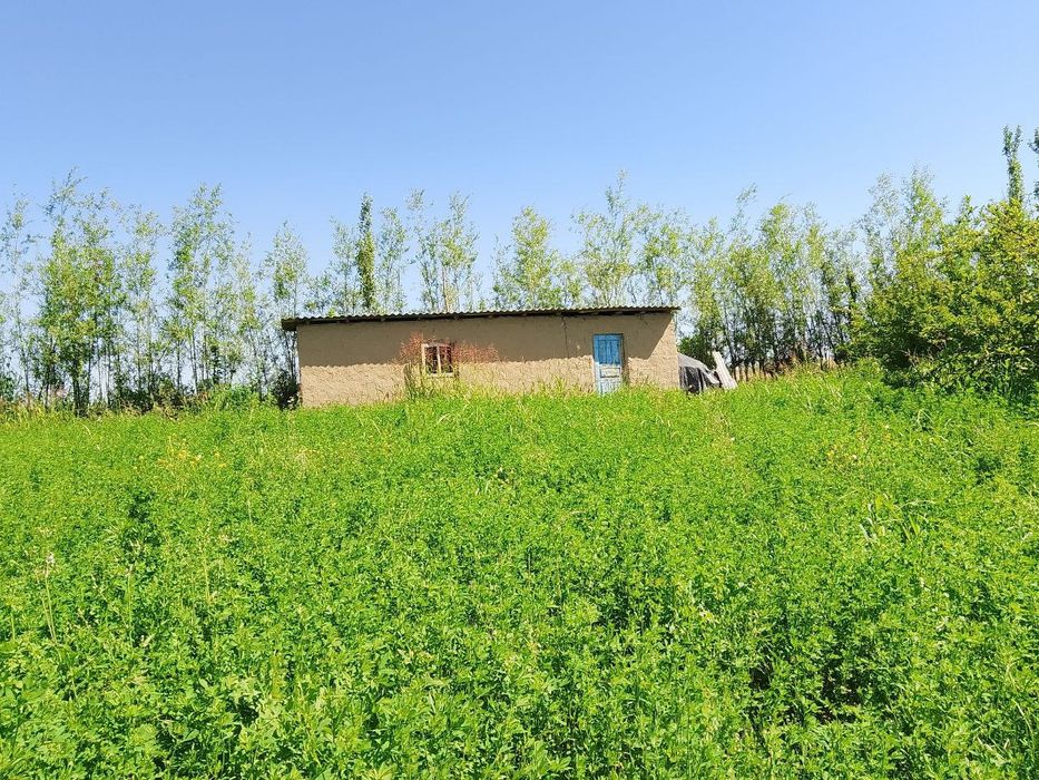 Бука МФИ Qudayqul mahallasi 84 uy