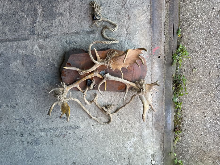 Полилей от естествени еленски рога (лопатар)