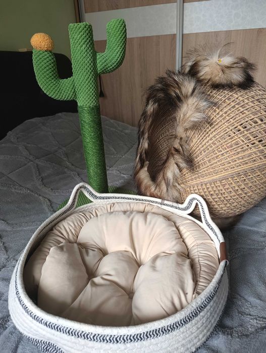 Котешко легло и драскалка