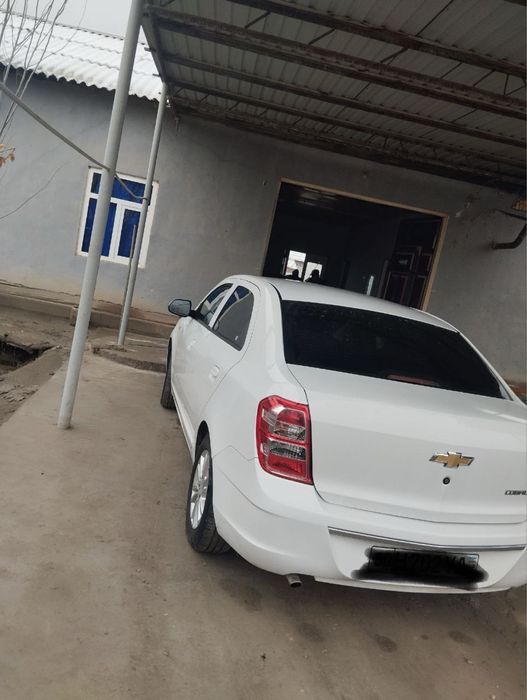 cobalt 2023 полный радной