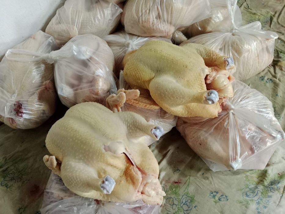 Бройлеры домашний