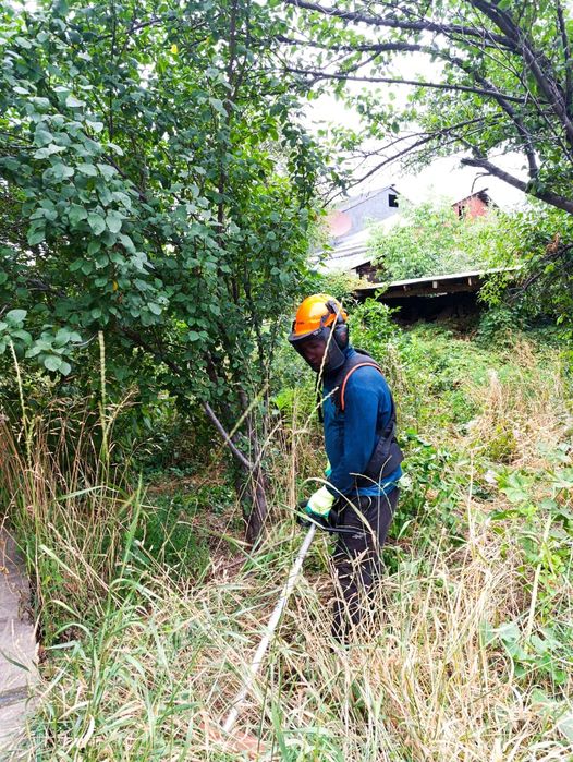 Вырубка деревьев,покос травы